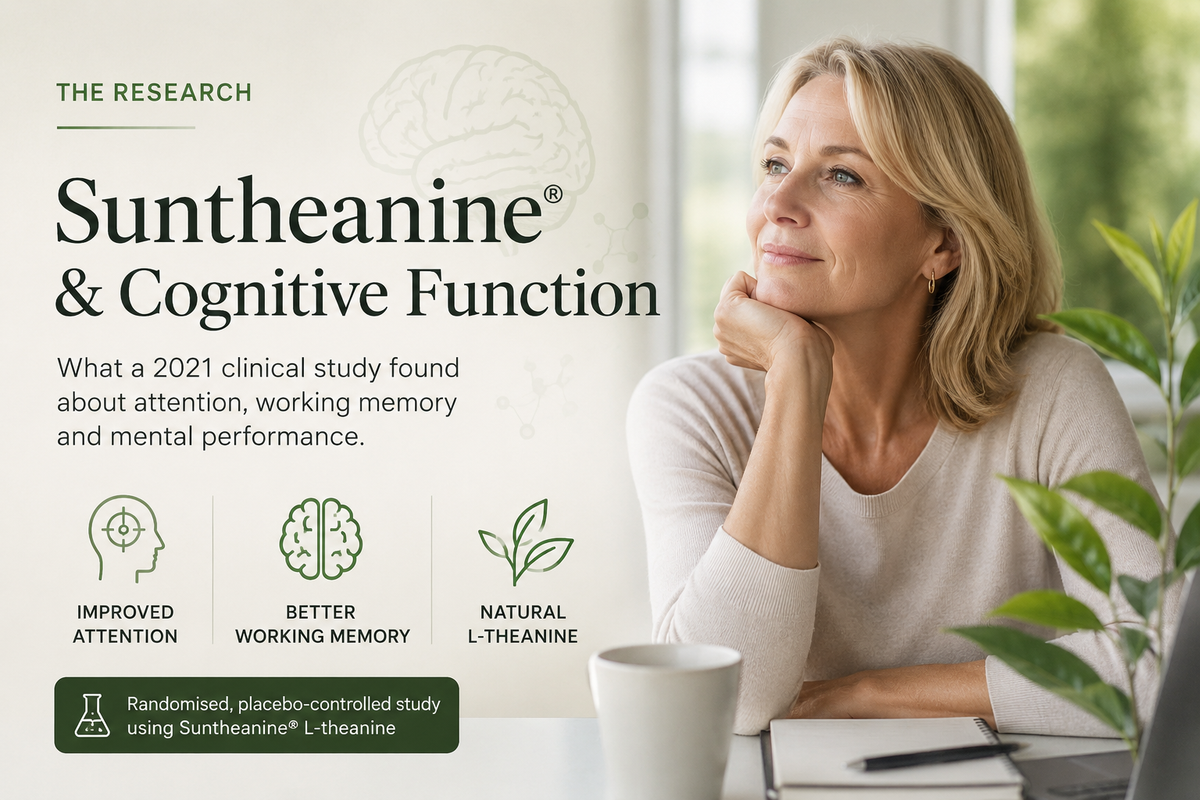 Suntheanine® and Cognitive Function: What a Randomised Clinical Study Found