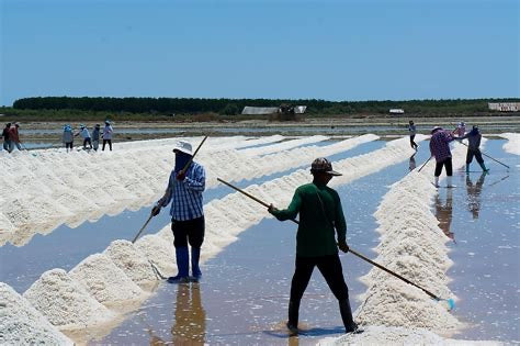 workmen gathering Baja Gold salt