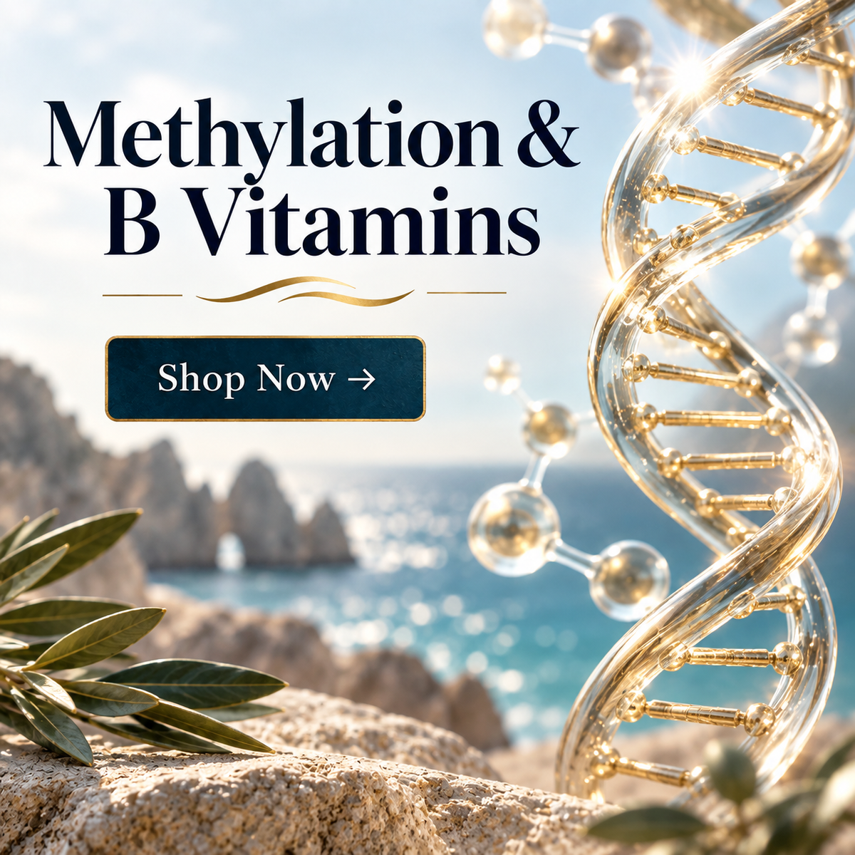 Methylation & B Vitamins