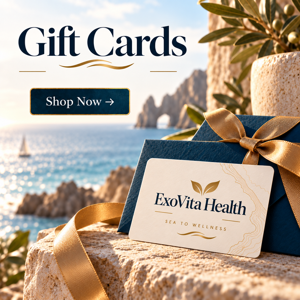 Shop ExoVita Wellness Gift Cards – the perfect gift of health and vitality. Instant delivery, no expiry, redeemable across Baja Gold Salt and premium supplements Australia-wide.”