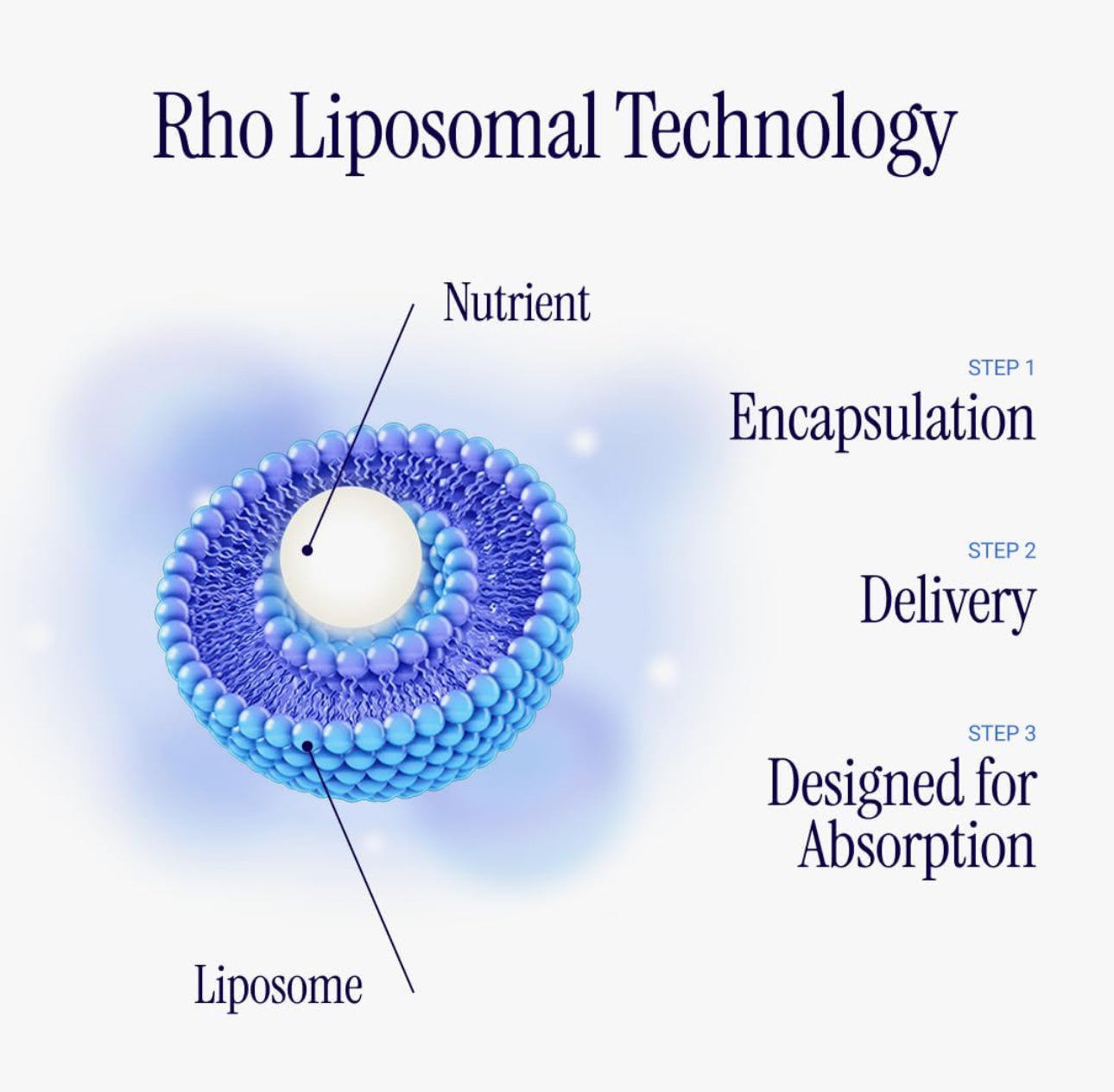 Rho Nutrition Liposomal NAD+ Liquid Supplement with Advanced Absorption Designed For Normal Cellular Health and Energy Metabolism