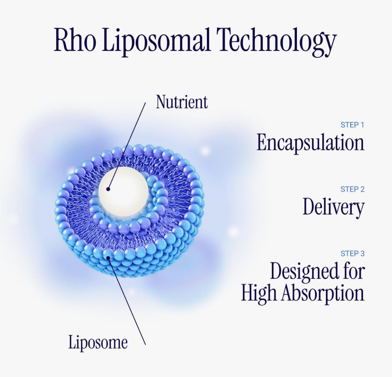Diagram of Rho Liposomal Technology with liposome structure and steps labeled.