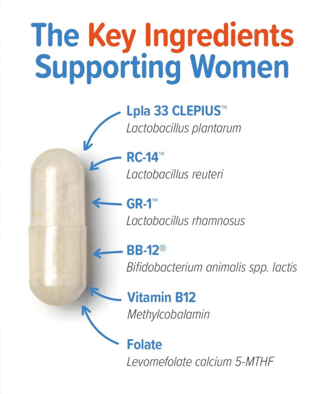 An infographic titled 'The Key Ingredients Supporting Women' shows a beige capsule pill on a white background with blue and orange text pointing to ingredients: Lpla 33 CLEPIUS, RC-14, GR-1, BB-12, Vitamin B12, and Folate.